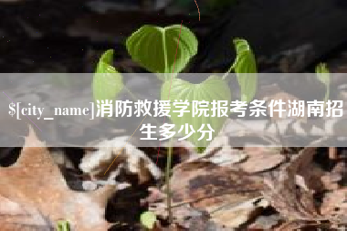 临朐消防救援学院报考条件湖南招生多少分