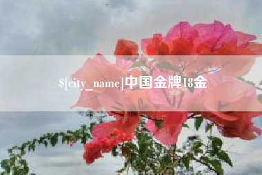 临朐中国金牌18金