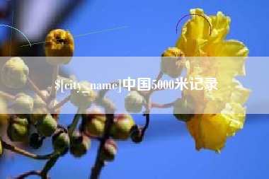 临朐中国5000米记录