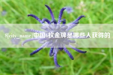临朐中国6枚金牌是哪些人获得的
