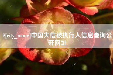 临朐中国失信被执行人信息查询公开网址