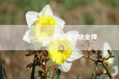 临朐奥运会39块金牌
