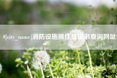 临朐消防设施操作员证书查询网址