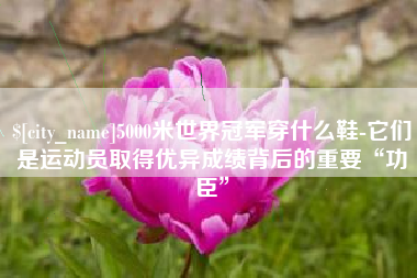 临朐5000米世界冠军穿什么鞋-它们是运动员取得优异成绩背后的重要“功臣”