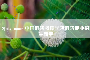 临朐中国消防救援学院消防专业招生简章