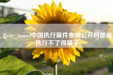 临朐中国执行案件查询公开网都是执行不了得案子