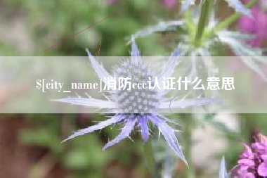 临朐消防ccc认证什么意思
