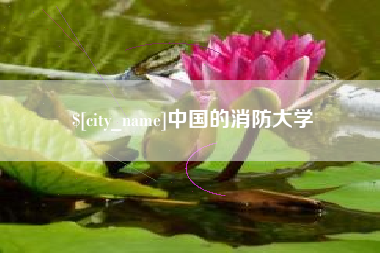 临朐中国的消防大学