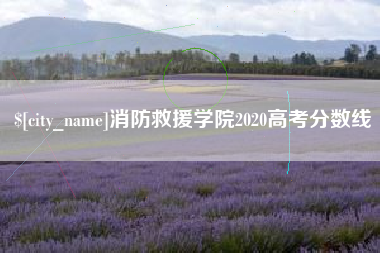 临朐消防救援学院2020高考分数线