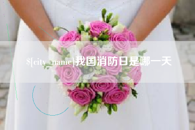 临朐我国消防日是哪一天