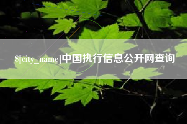 临朐中国执行信息公开网查询