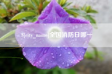 临朐全国消防日哪一