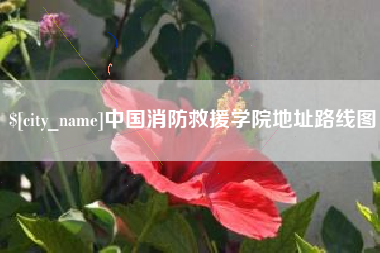 临朐中国消防救援学院地址路线图
