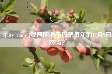 临朐我国的消防日是每年的11月9日对吗？