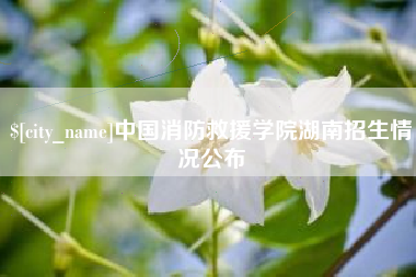 临朐中国消防救援学院湖南招生情况公布