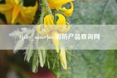 临朐ccc消防产品查询网