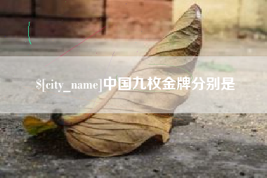临朐中国九枚金牌分别是
