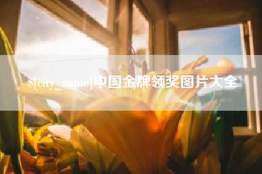 临朐中国金牌领奖图片大全