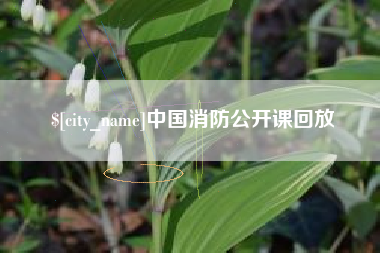 临朐中国消防公开课回放