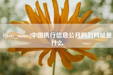 临朐中国执行信息公开网的网址是什么