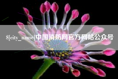 临朐中国消防网官方网站公众号