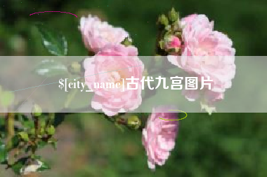 临朐古代九宫图片