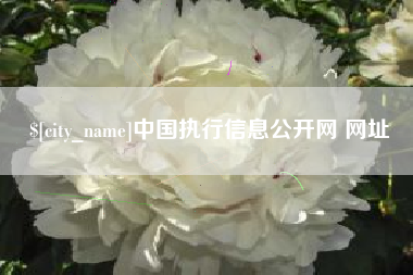临朐中国执行信息公开网 网址