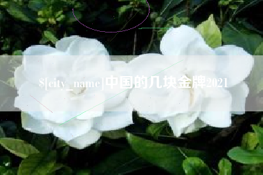 临朐中国的几块金牌2021