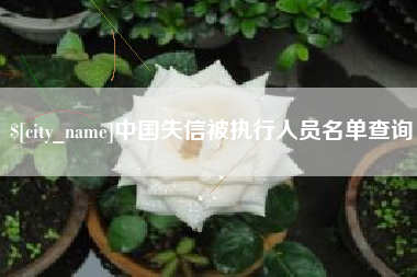 临朐中国失信被执行人员名单查询
