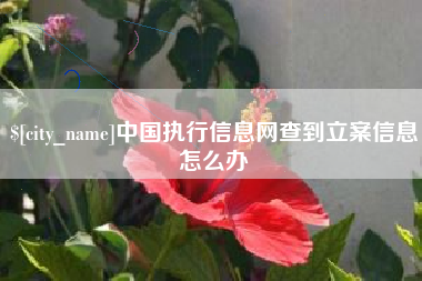 临朐中国执行信息网查到立案信息怎么办