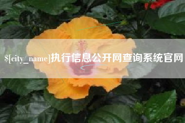 临朐执行信息公开网查询系统官网