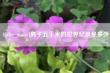 临朐男子五千米的世界纪录是多少