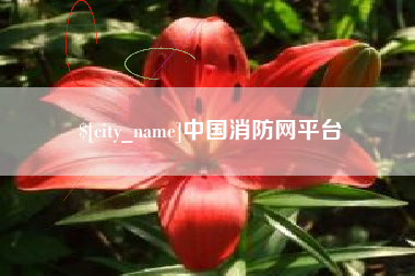 临朐中国消防网平台