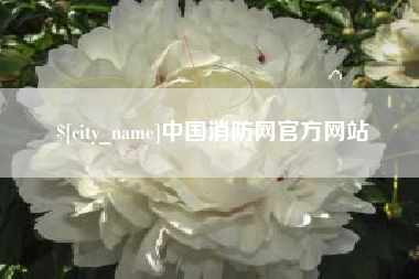 临朐中国消防网官方网站
