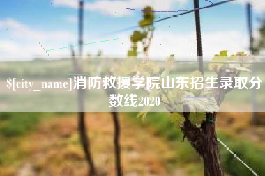 临朐消防救援学院山东招生录取分数线2020