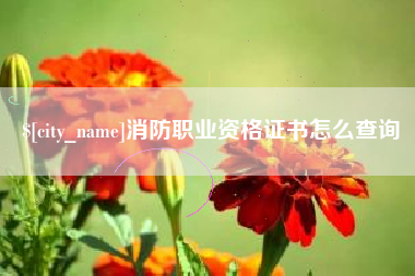 临朐消防职业资格证书怎么查询