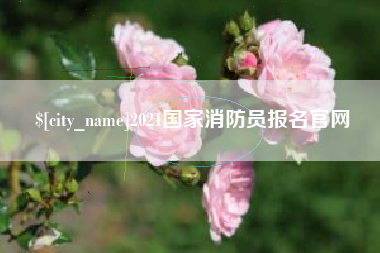 临朐2021国家消防员报名官网