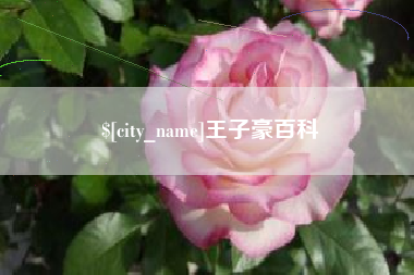 临朐王子豪百科