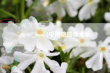 临朐中国地图像素版
