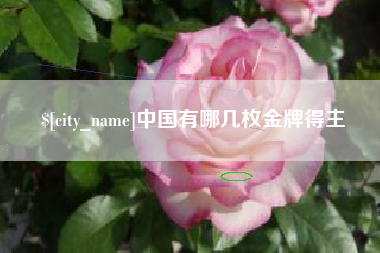 临朐中国有哪几枚金牌得主