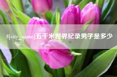 临朐五千米世界纪录男子是多少