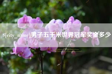 临朐男子五千米世界冠军奖金多少