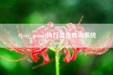 临朐执行公告查询系统