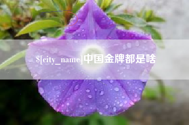 临朐中国金牌都是啥