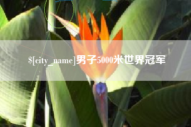 临朐男子5000米世界冠军