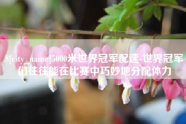 临朐5000米世界冠军配速-世界冠军们往往能在比赛中巧妙地分配体力