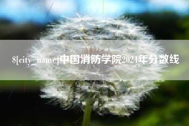 临朐中国消防学院2024年分数线