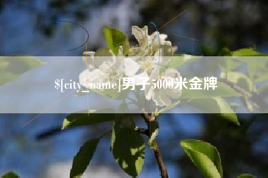 临朐男子5000米金牌