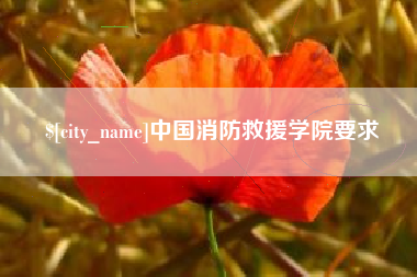 临朐中国消防救援学院要求