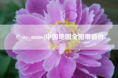 临朐中国地图全图带省份